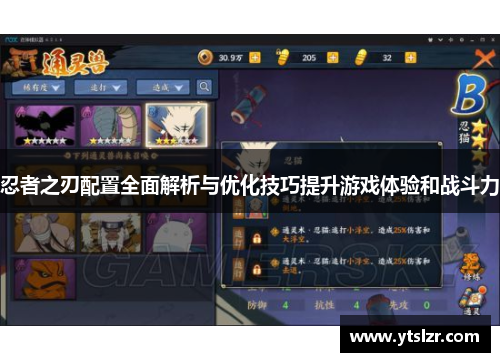 忍者之刃配置全面解析与优化技巧提升游戏体验和战斗力