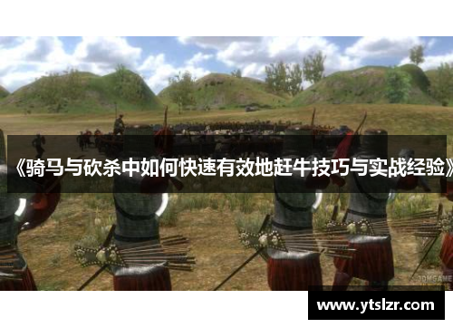 《骑马与砍杀中如何快速有效地赶牛技巧与实战经验》
